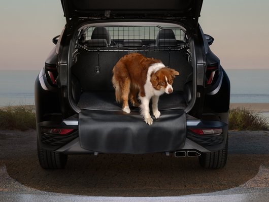 Автомобілі Hyundai м. Кременчук | Купити новий Хюндай | Автопланета Кременчук - фото 11